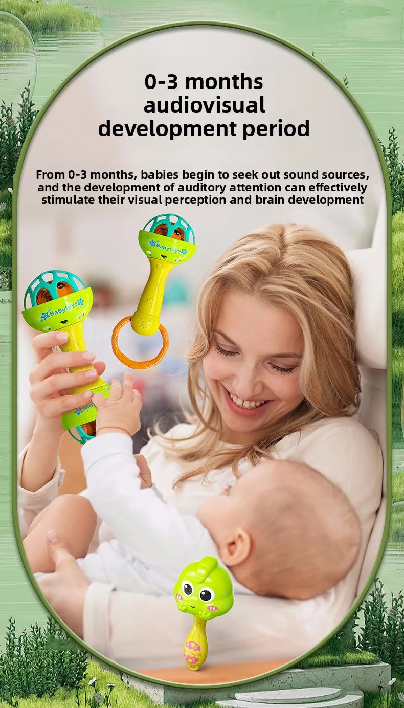 Baby Rattle Toys 0-12M, Colorful Sensory Shaker, Newborn Christmas Gift